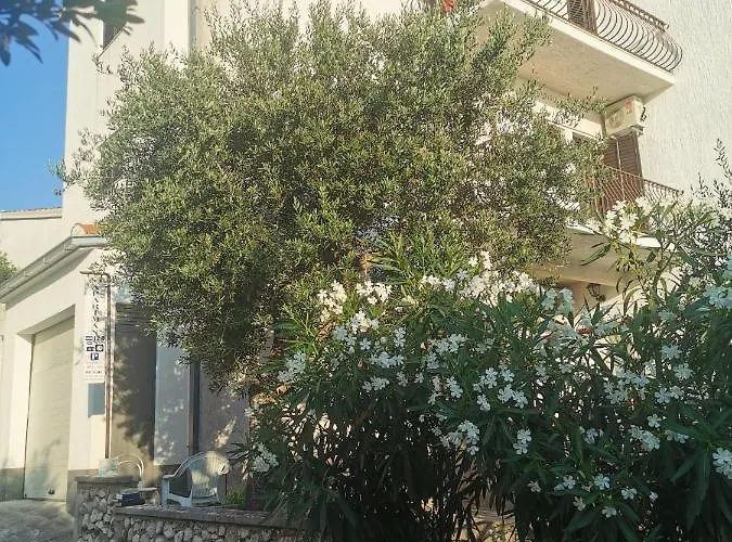 Branko Appartement *